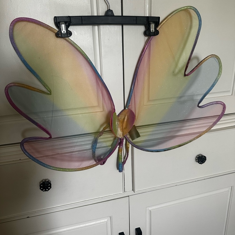 Rainbow Fairy Wings